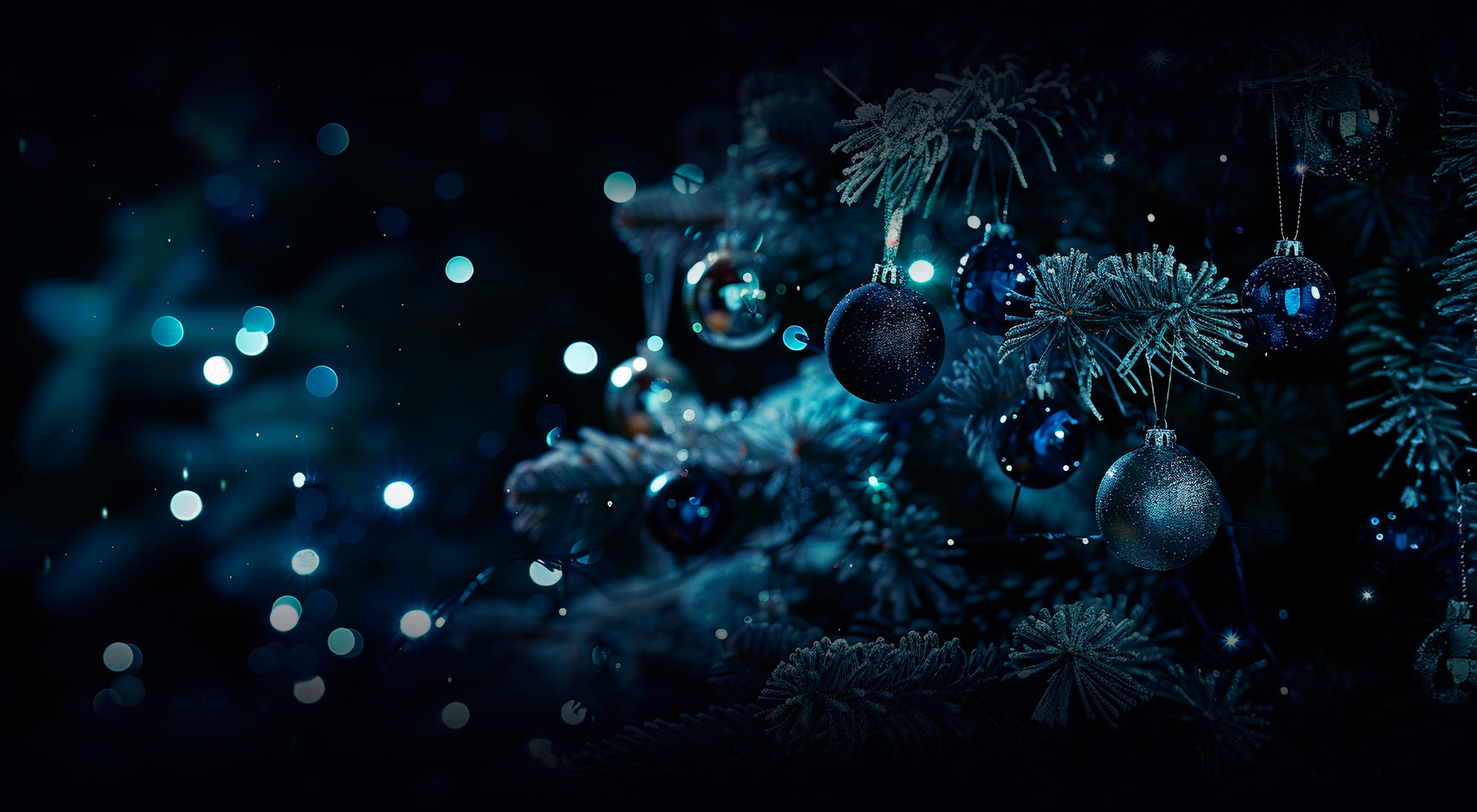 Wir wünschen ein gesegnetes Weihnachtsfest!